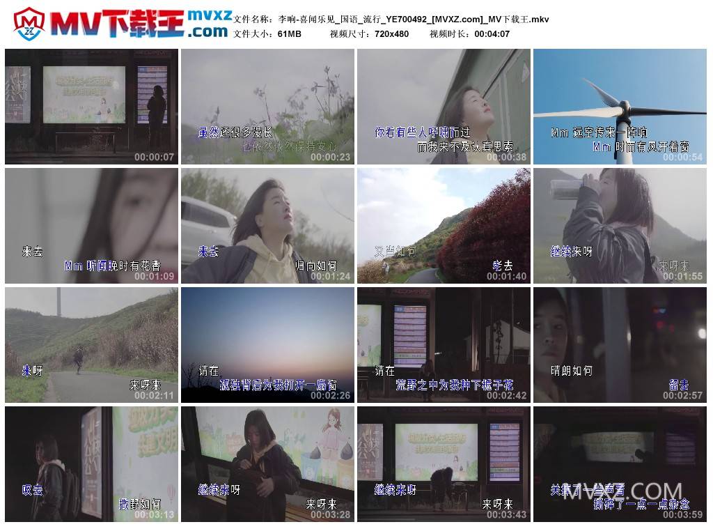 李响-喜闻乐见_国语_流行_YE700492